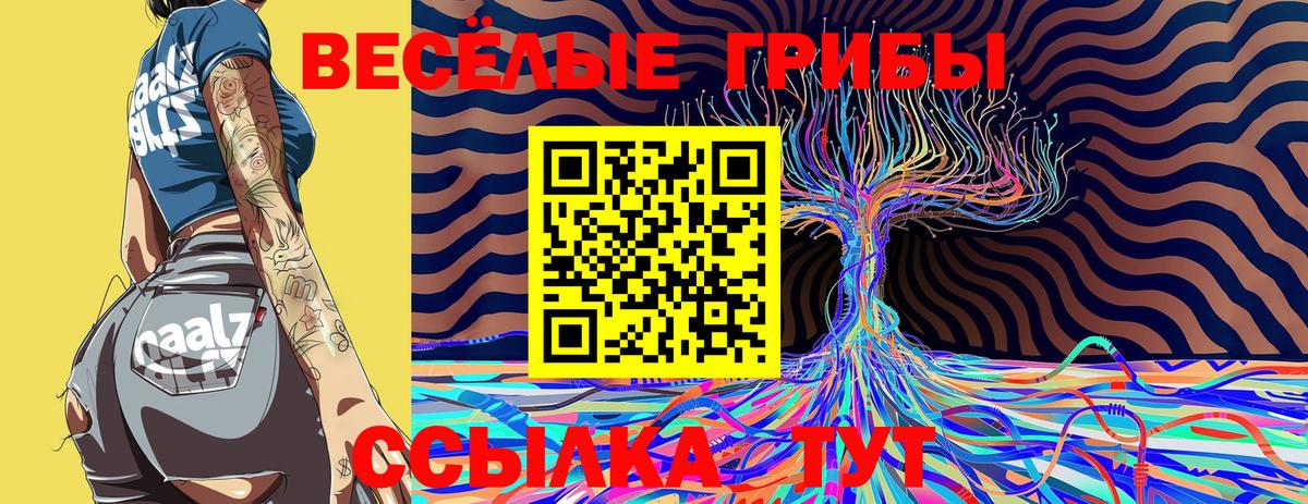 Псилоцибиновые грибы ЛСД Донской