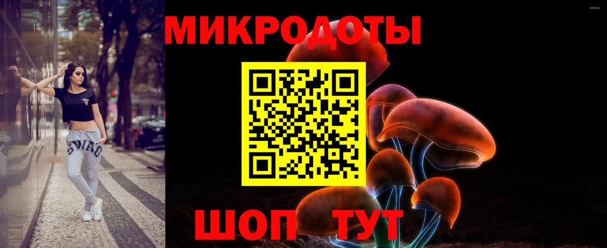 Донской  как найти закладки  Вход с VPN  Галлюциногенные грибы GOLDEN TEACHER 